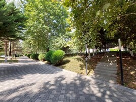 Jardín