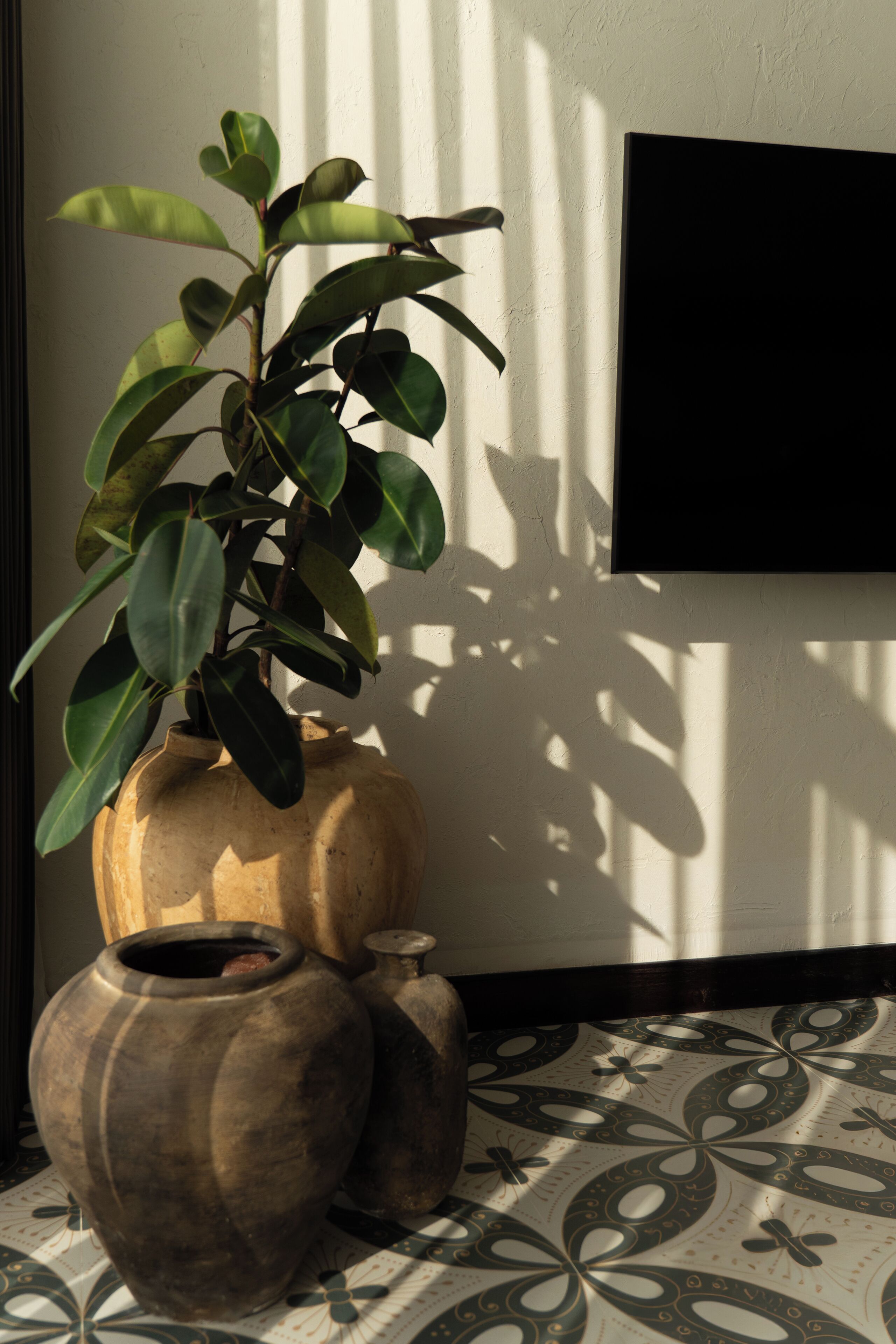 Una planta en maceta junto a un televisor fijado a la pared, con baldosas de suelo estampadas.