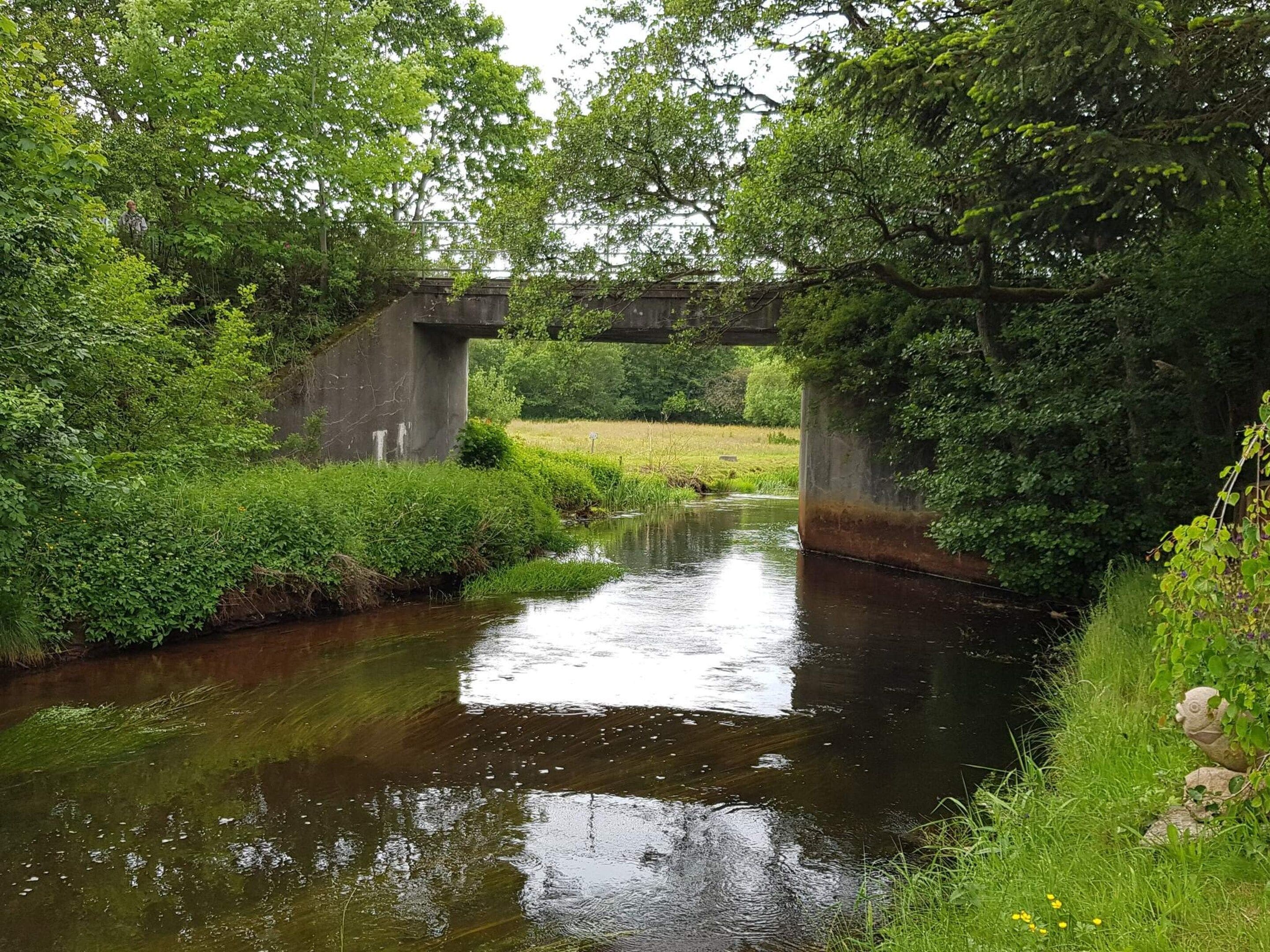 En flod der flyder under en bro omgivet af frodig vegetation.