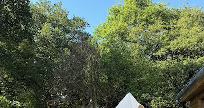 CABANE N°2