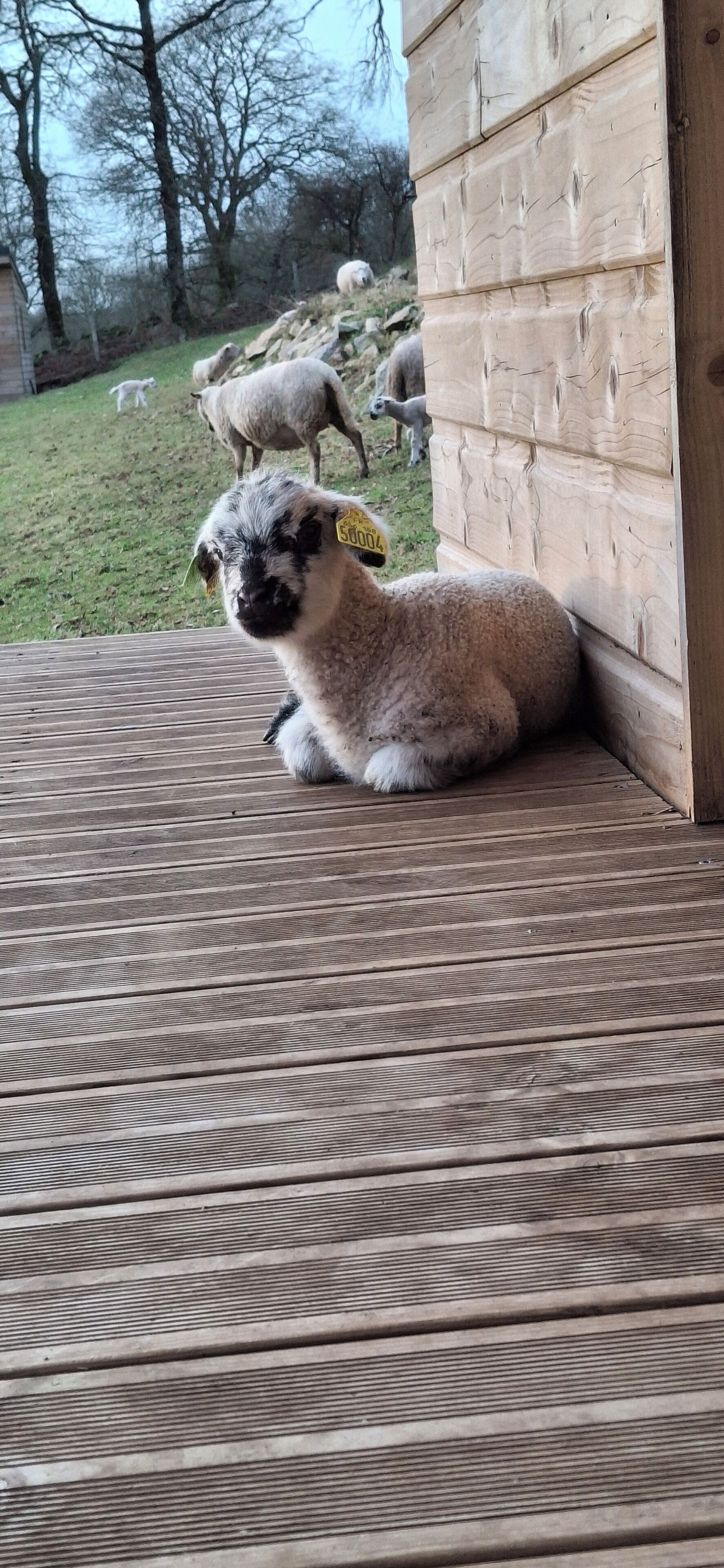Enceinte de l’hébergement