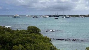 Un puerto deportivo con varias embarcaciones amarradas.