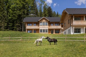 Ferienhaus | AuĂenbereich