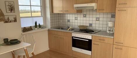 Fridge, oven, stovetop, coffee/tea maker
