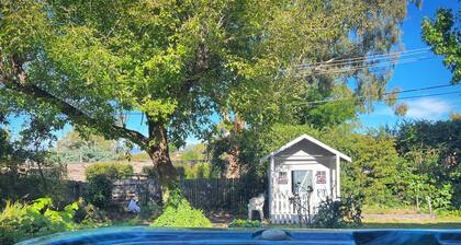 Spacious Treetop Retreat with Jacuzzi, Fireplace & Lovely Views. Pet friendly.
