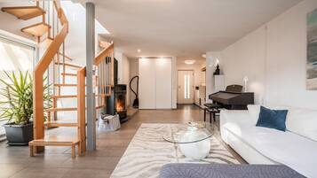 Smart-TV, Kamin