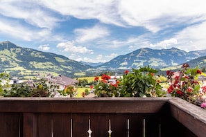 Property grounds - Room '03' with Mountain View, Shared Terrace and Wi-Fi (Hopfgarten im Brixental)