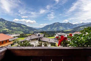 Property grounds - Room '04' with Mountain View, Shared Terrace and Wi-Fi (Hopfgarten im Brixental)