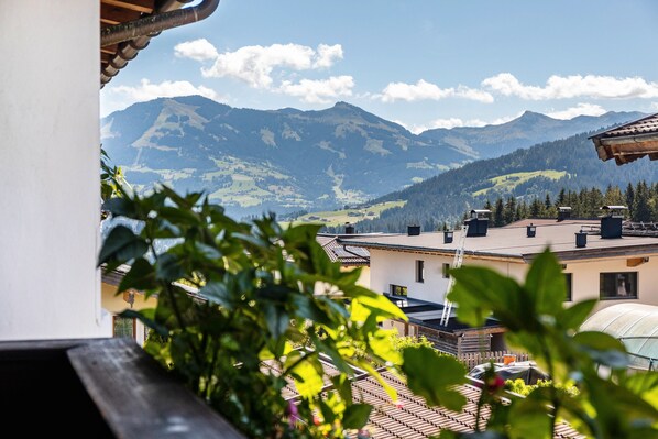 Property grounds - Room '08' with Mountain View, Shared Terrace and Wi-Fi (Hopfgarten im Brixental)