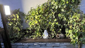 Ein Garten mit Steinmauer, hölzernem Bank und Statue.