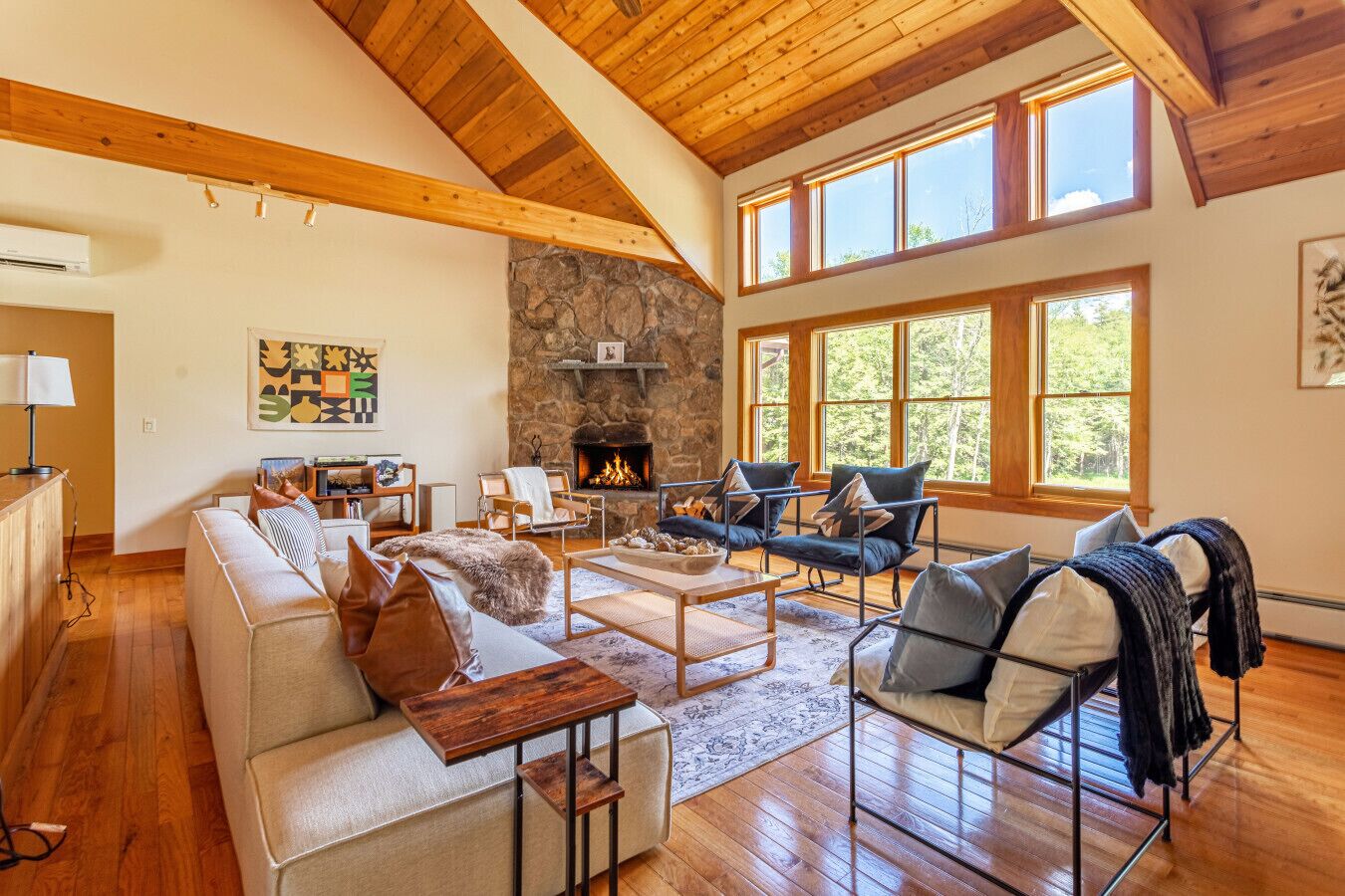 Smart TV, chimenea y libros 