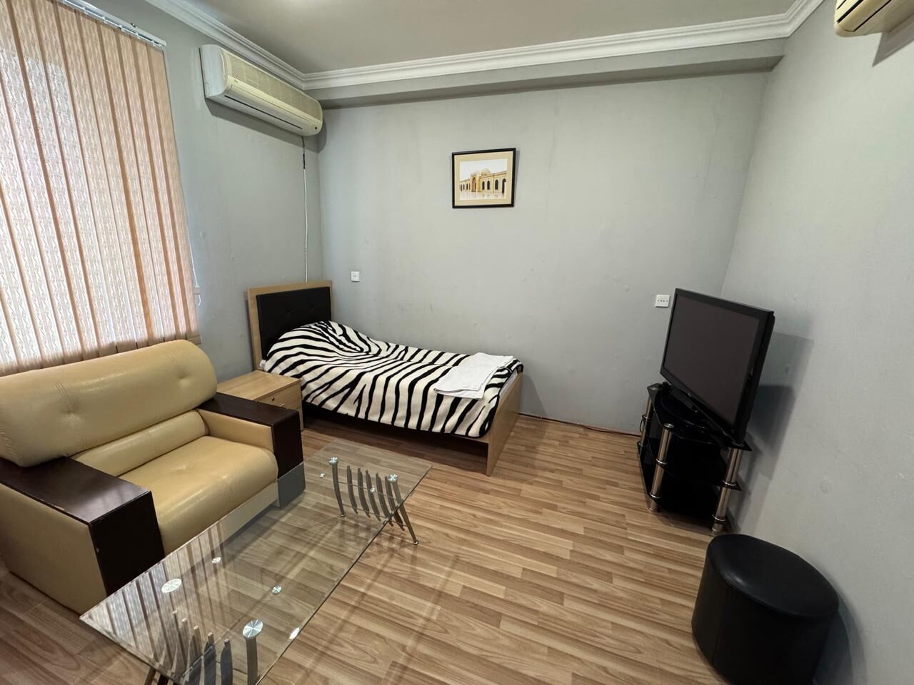 Una sala de estar pequeña y moderna con un sofá, una cama con manta de estampado de cebra, una mesa de centro de vidrio, un televisor y un equipo de aire acondicionado instalado en la pared.