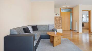 Fernseher, Stereoanlage