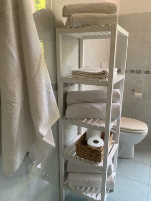 Shower, hair dryer, bidet, towels