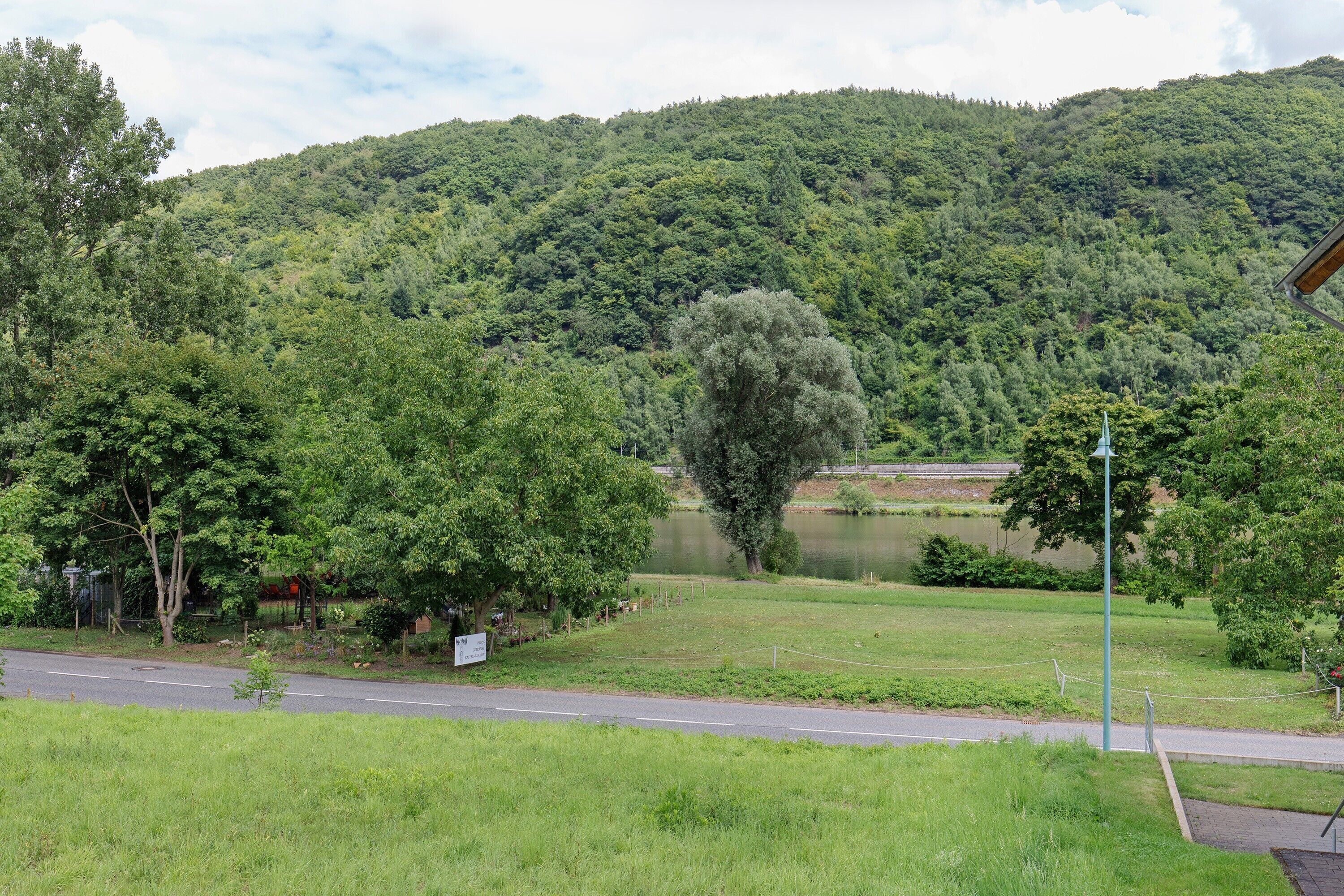 A road with a grassy area and trees in the foreground, a lake, and a hill with dense vegetation in the background.