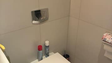 Dusche, Haartrockner, HandtĂŒcher, Seife