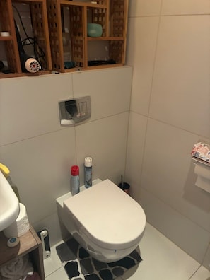 Douche, sèche-cheveux, serviettes fournies, savon