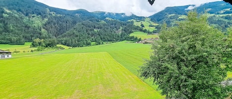 Une vue depuis une fenêtre donnant sur une vallée verdoyante, avec un arbre et des montagnes en arrière-plan.