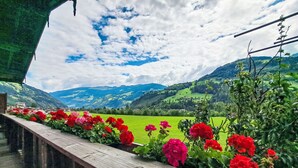 Une terrasse en bois offrant une vue sur un champ verdoyant et, au loin, sur des montagnes.