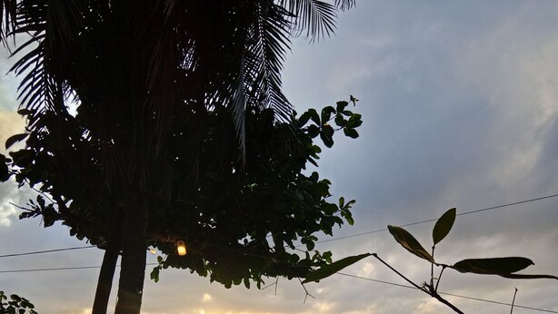 Property grounds - Oceanfront Guest House (Puerto Galera)