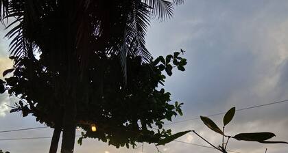 Oceanfront Guest House