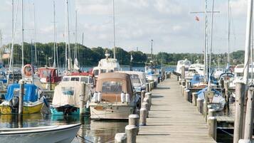Ferienhaus | Blick von der Unterkunft