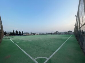 Ein Sportplatz mit Toren, umgeben von einem Zaun und Bäumen.