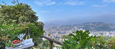 Mesa de pedra com uma garrafa e morangos, com vista para a paisagem urbana.