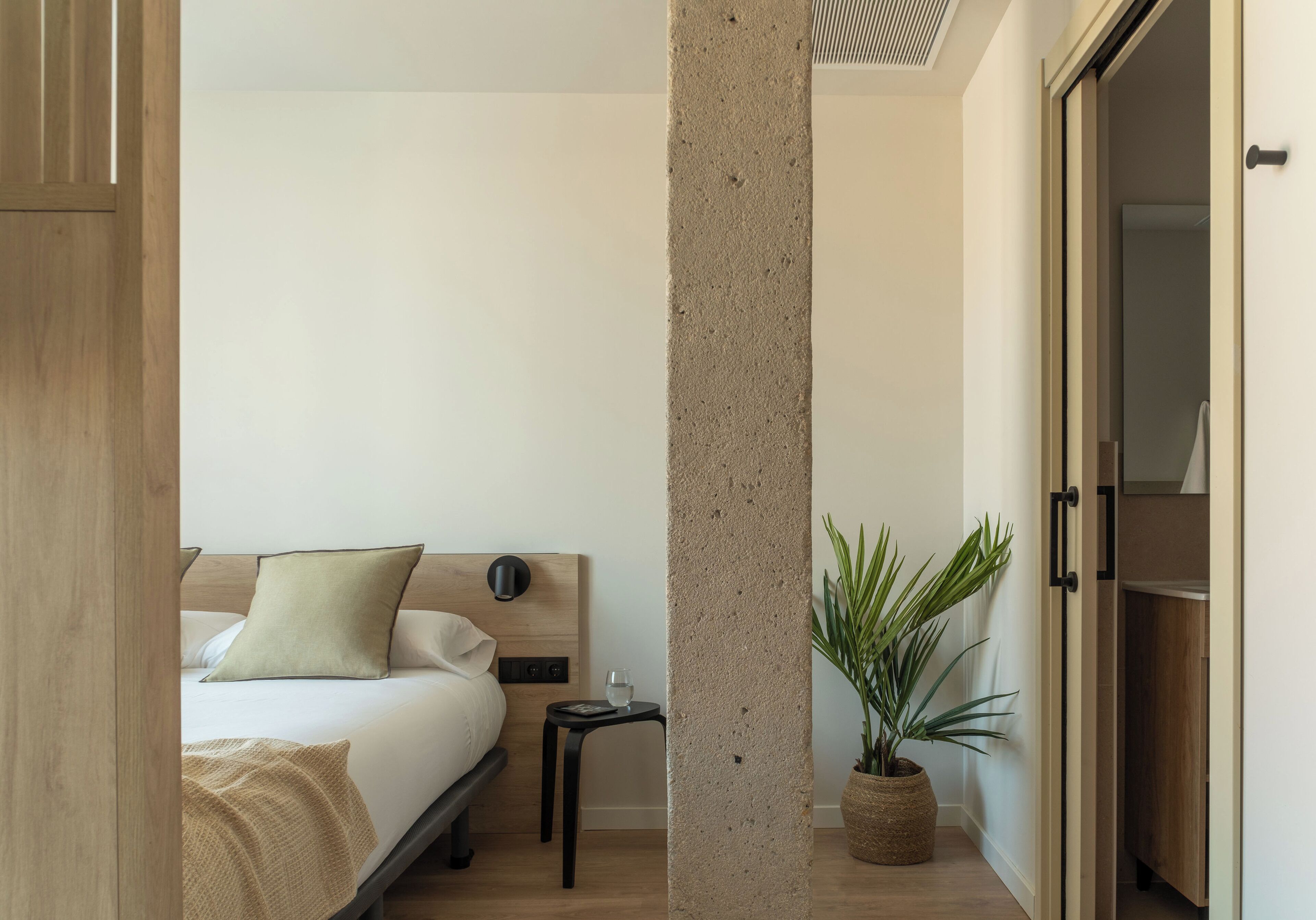 A modern hotel room with a bed, bedside table, and a potted plant.
