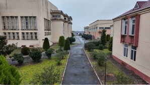 A residential street with buildings on both sides, a paved road, and various green shrubs and trees.
