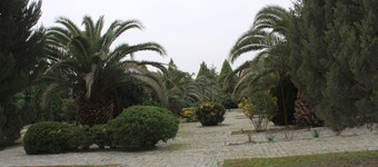 Arena Hotel Agdash