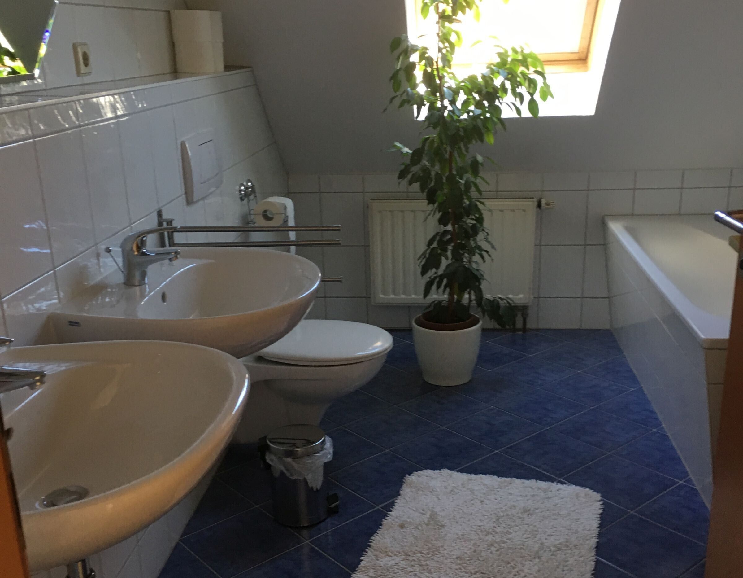 A bathroom with a double sink, toilet, and bathtub. There is a potted plant and a white rug on the floor.