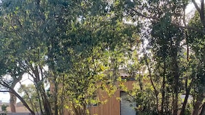 A rectangular swimming pool with a wooden deck and metal ladder, surrounded by trees and a wooden structure in the background.