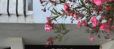 外観の詳細