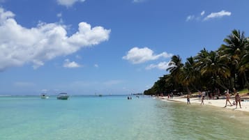 Apartment, 1 Bedroom, Balcony | Beach