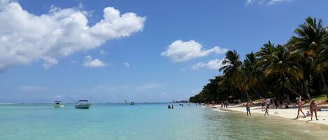 Apartment, 1 Bedroom, Balcony | Beach