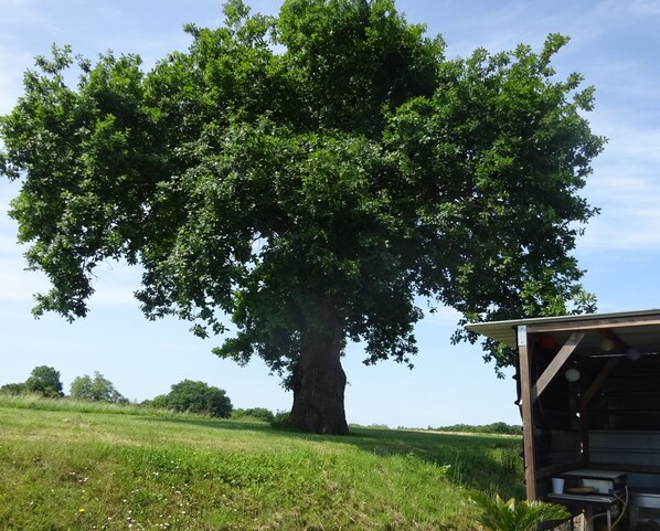Boendeområde