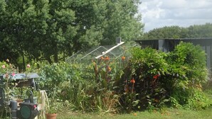 Un jardin avec une serre, diverses plantes et une pompe à eau.