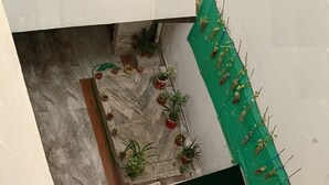 Um pátio estreito com chão de azulejos, uma porta verde e vários vasos de plantas.