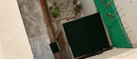 A narrow courtyard with a tiled floor, a green door, and several potted plants.