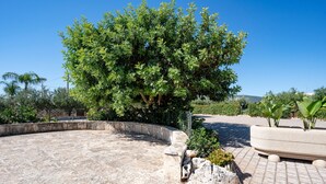 A courtyard with a large tree, a stone bench, and a planter with plants. - Apartment 'L'Aia - 2' with Shared Pool, Wi-Fi and Air Conditioning (Monopoli)