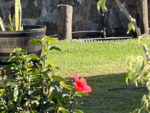 A garden area with a grassy lawn, a large planter with green plants, and a red flower in the foreground. - Spacious villa in Grand Coude with wheelchair access (Saint-Joseph)