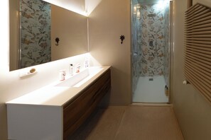Shower, hair dryer, bidet, towels
