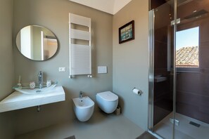 Shower, hair dryer, bidet, towels