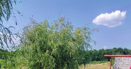 Charming 1-bedroom chalet in marvelous MH with WiFi