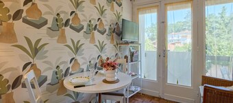 Charming renovated studio with balcony, parking and pets allowed