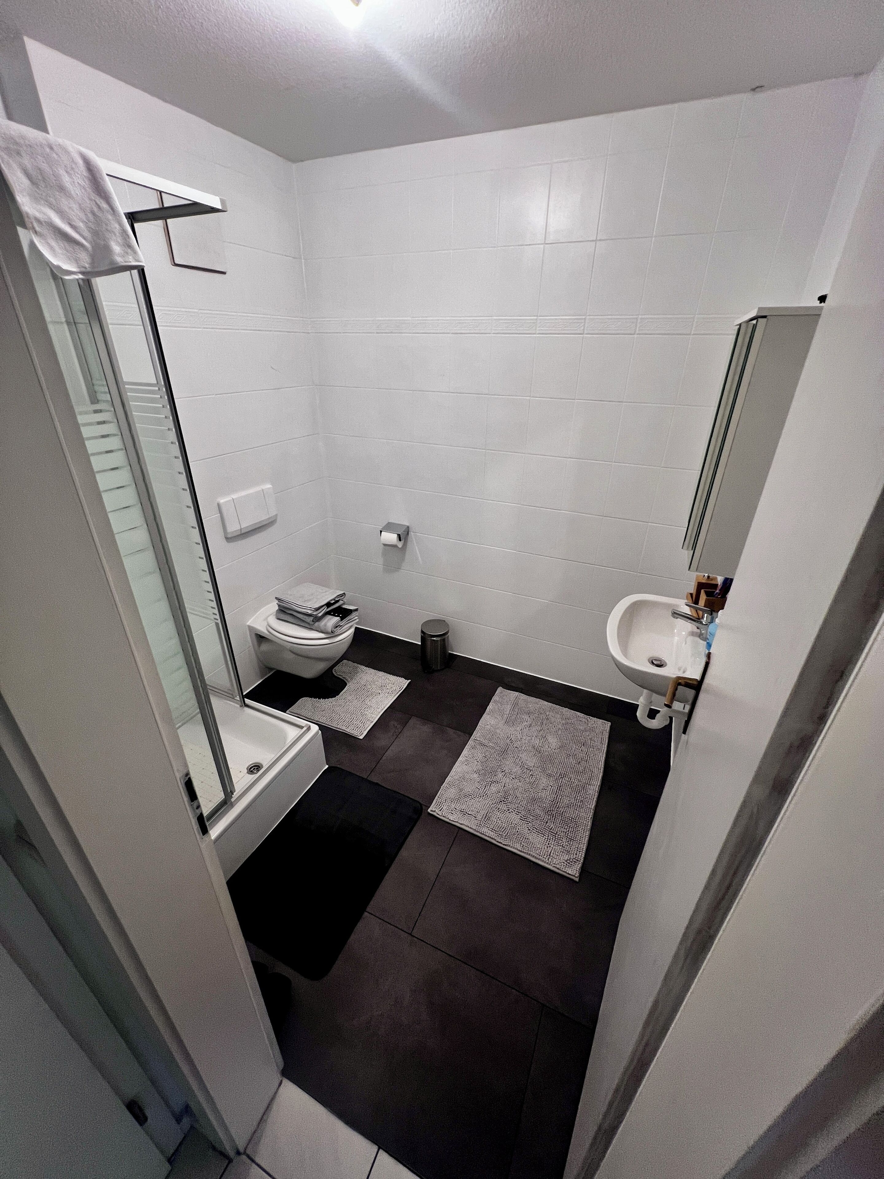 Shower, towels, soap, toilet paper