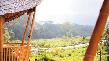 Panoramic Villa, River View | View from room