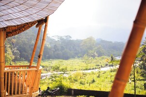 Vista desde la habitación