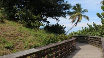 A wooden boardwalk with railings, surrounded by lush greenery and a palm tree.